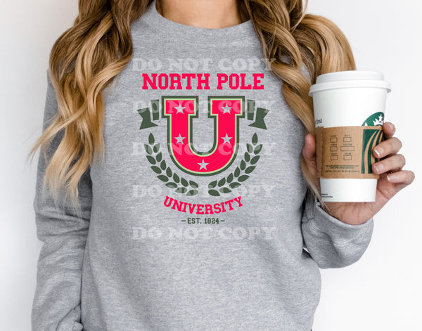NP University DTF Transfer