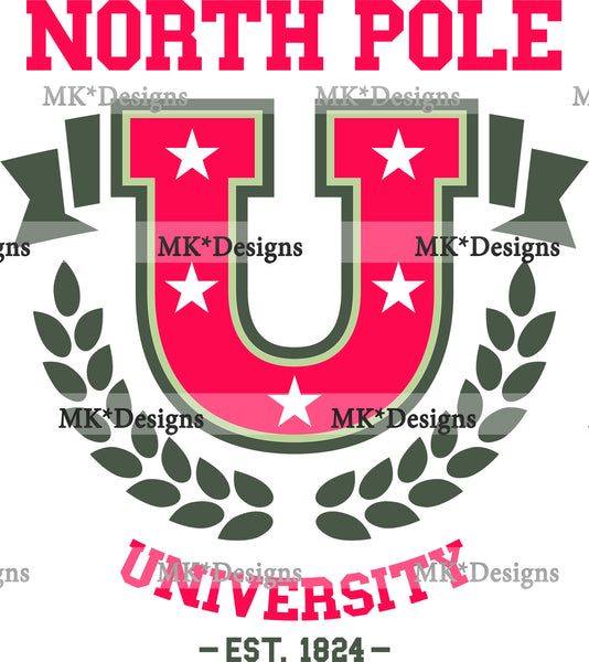 NP University DTF Transfer